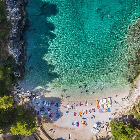 Διαμέρισμα Karlo 604 Πούλα